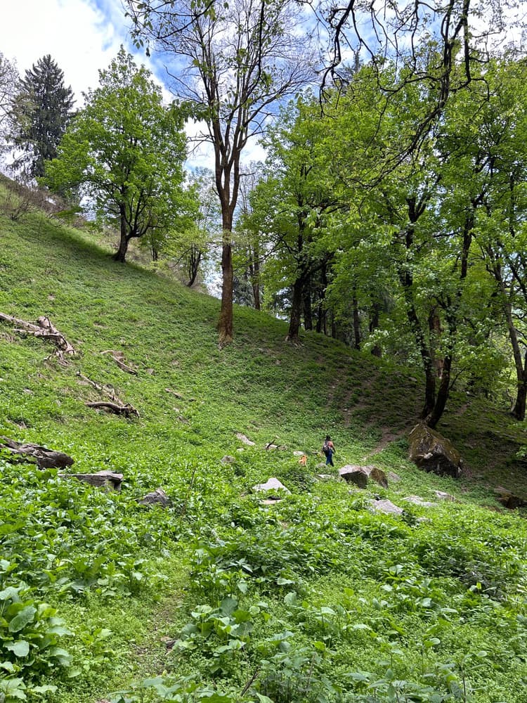 Gallery Image 26